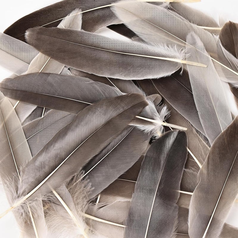 MAOFENG 150pcs 5-7 Inches Natural Goose Feathers Bulk DIY Crafts Feathers for Wedding Party Halloween Clothing Accessories,Natural Gray - Image 4